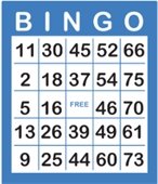 Bingo Picture