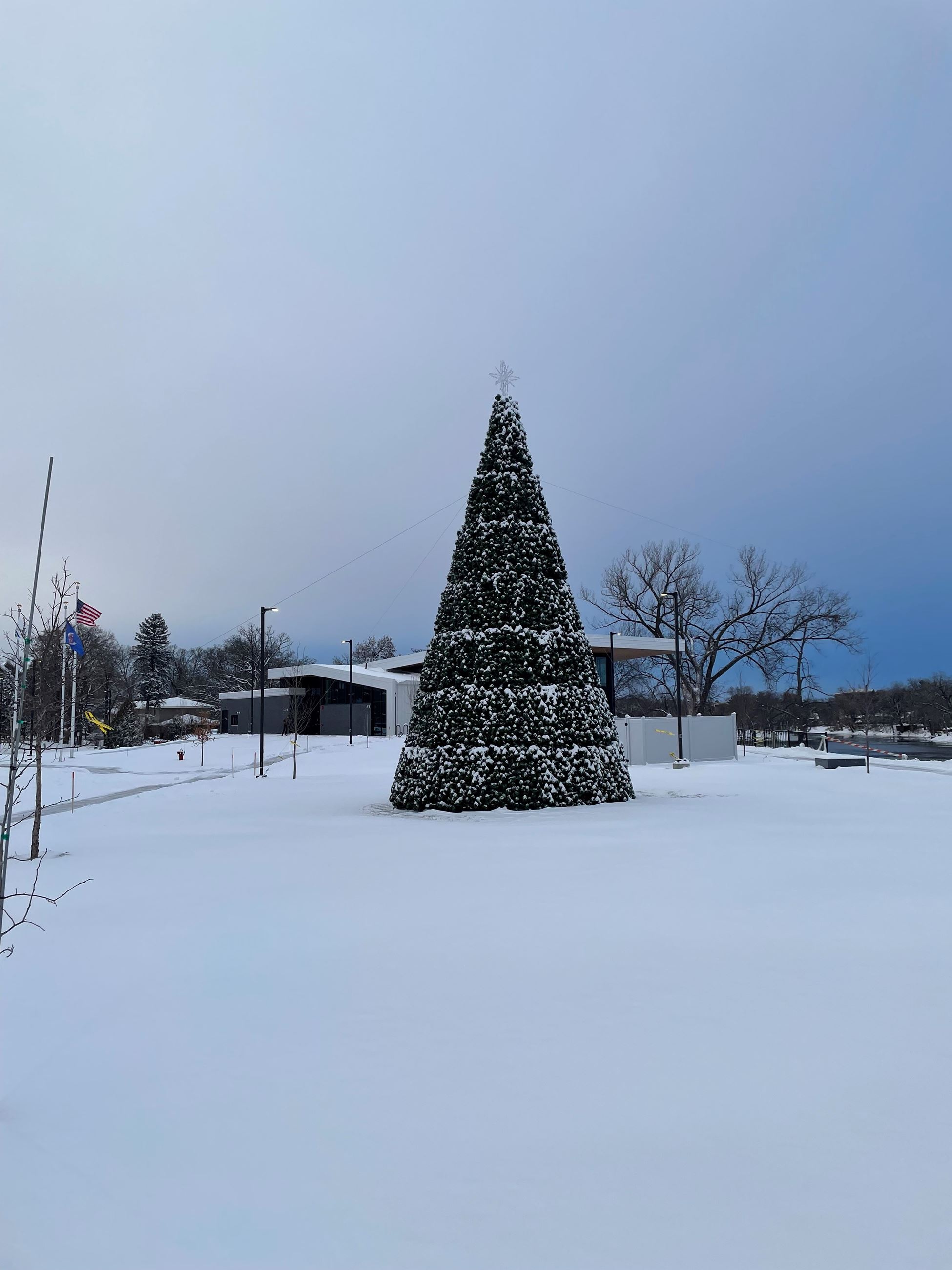Champlin Tree Trimmed in Snow