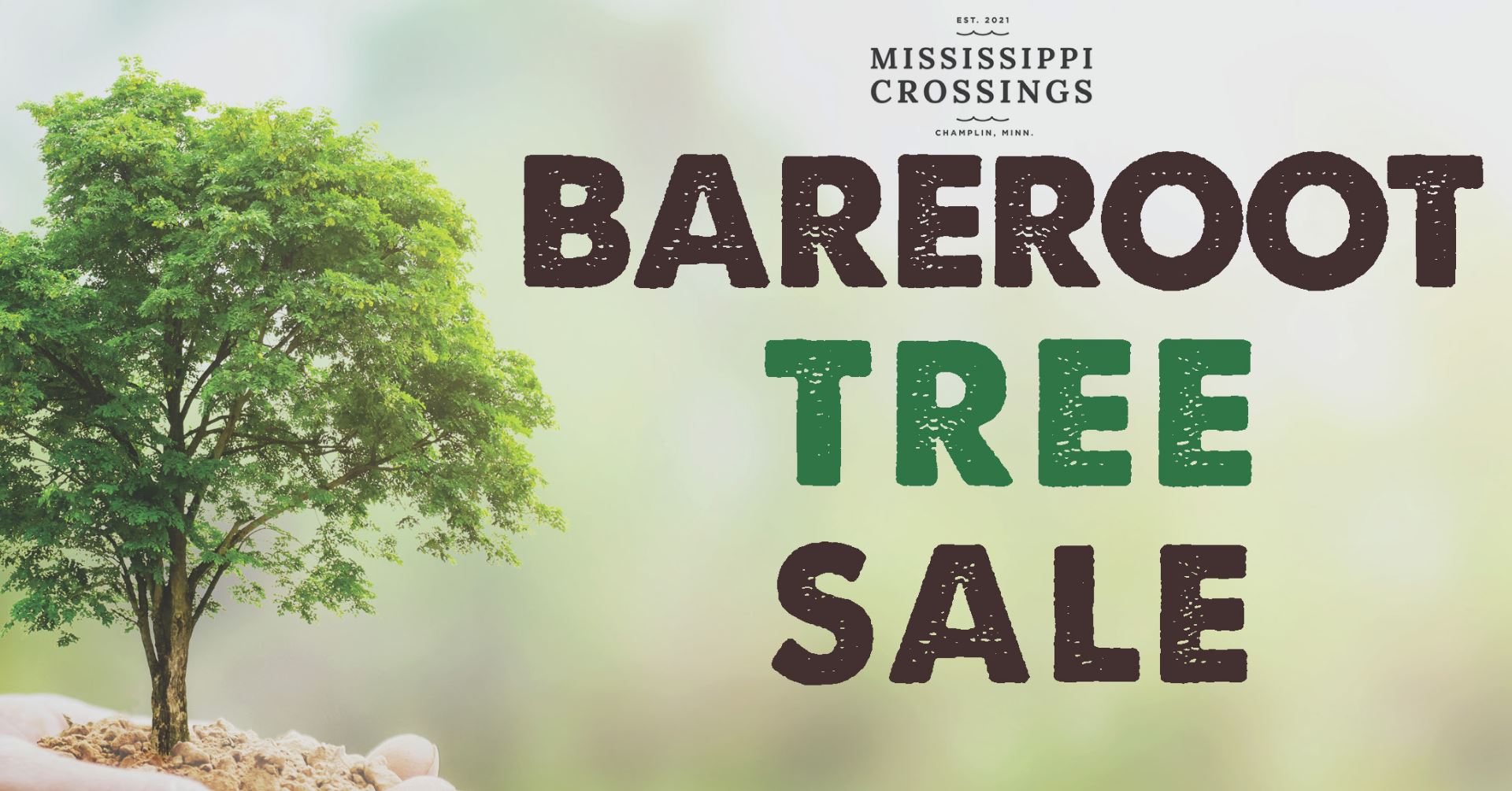 A view of hands holding a freshly planted tree.