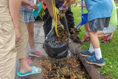 Cleaning stormwater catch basin of leaves