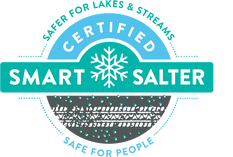 smart salting logo