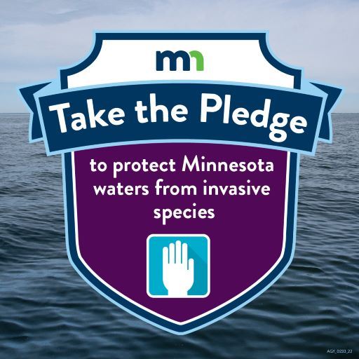 Pledge to Protect MN Waters