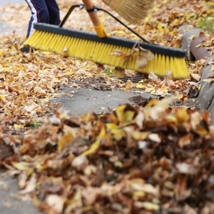 sweeping leaves from storm drain