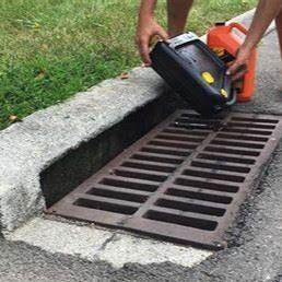 Person pouring oil down storm catch basin
